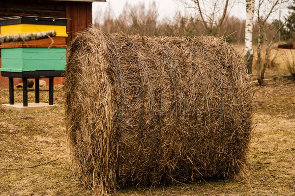 Close Hay Roll Private Garden Nature Early Spring Haystack Beehive — Stock Photo, Image