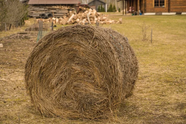 Close Hay Roll Private Garden Nature Early Spring Haystack Logs — Stock Photo, Image