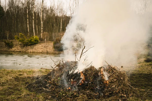 Burning Fire Dry Grass Burning Garbage Garden Early Spring White — Stock Photo, Image