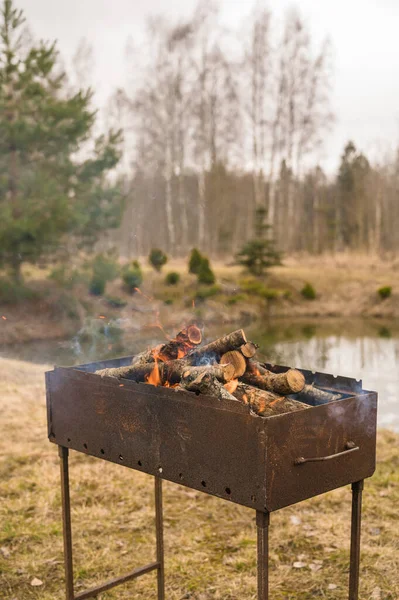 薪をグリルで焼く バーベキューの準備 池のあるプライベートガーデン 早春だ 乾燥した草や木 — ストック写真