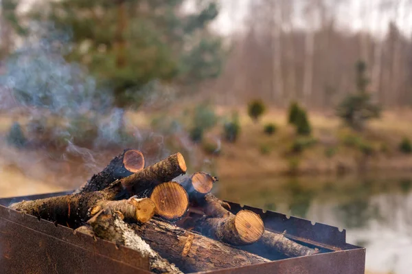 Burning Wood Grill Preparation Barbecue Private Garden Pond Early Spring — Stock Photo, Image