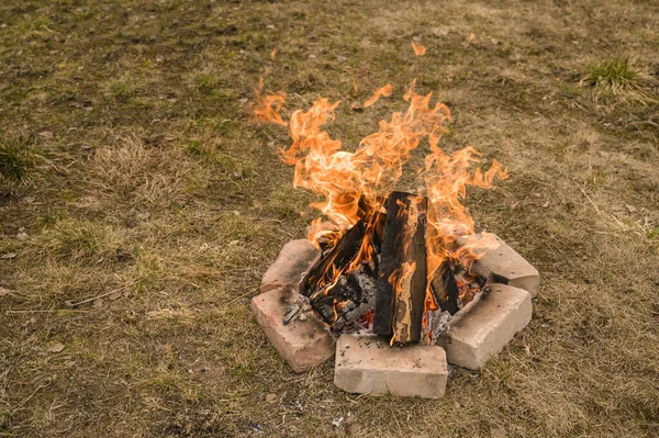 Φωτιά Στοίβες Καυσόξυλων Κατασκήνωση Κοντά Στη Λίμνη Ξηρό Χόρτο — Φωτογραφία Αρχείου
