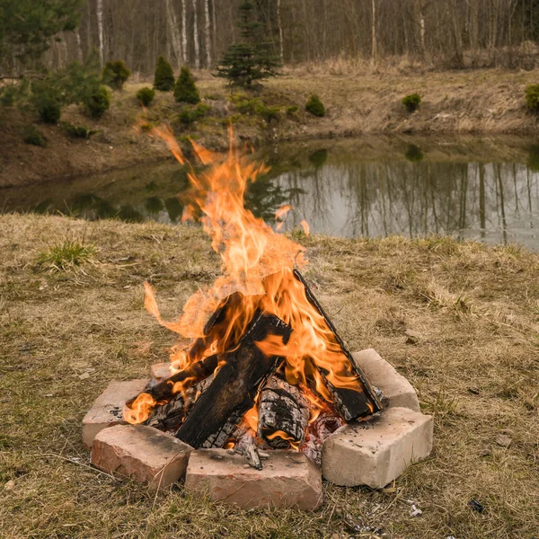 Vuur Brandhout Gestapeld Kampvuur Bij Vijver Drooggras — Stockfoto