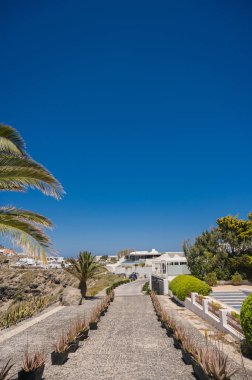 Santorini Adası, Yunanistan 'da boş bir yürüyüş alanı. Palmiye ağaçları. Mavi gökyüzü. Kimse..