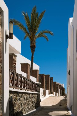 Boş dar bir cadde. Santorini Adası. Beyaz mimari. Yüksek çitler. Palmiye ağacı.