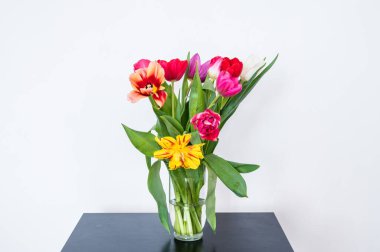 Siyah masadaki cam vazoda bir buket lale. Güzel bahar çiçekleri. Beyaz duvar. Ev dekoru.