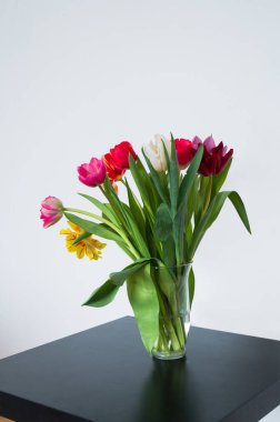 Siyah masadaki cam vazoda bir buket lale. Güzel bahar çiçekleri. Beyaz duvar. Ev dekoru.