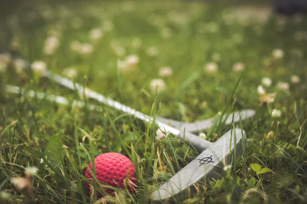 Mini golf game equipment. Close-up of red ball and putters on green grass. Summer outdoor game.