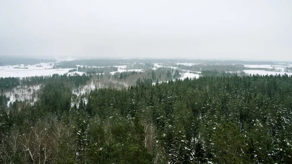 Najwyższy Widok Drona Góry Zielonego Lasu Sosnowego Malowniczy Zimowy Krajobraz — Zdjęcie stockowe