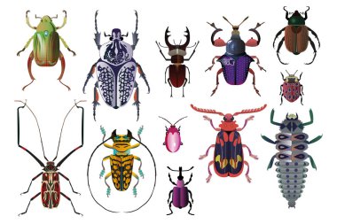Egzotik hatalar için vektör ayarlandı. Renkli böceklerin simetrik çizimi. Entomoloji için modern illüstrasyon koleksiyonu. Böceklerle desen.
