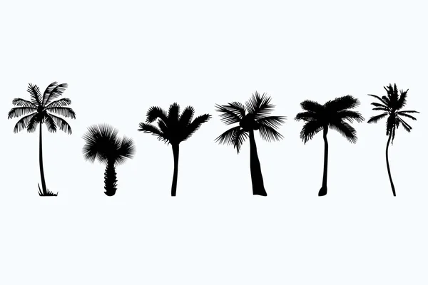 Clima Subtropicalストックベクター ロイヤリティフリーclima Subtropicalイラスト ページ 4 Depositphotos Clima Subtropicalストックベクター ロイヤリティフリーclima Subtropicalイラスト ページ 4 Depositphotos