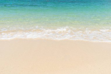 Güzel, berrak kumsal ve tropikal açık mavi deniz. Kumlu sahilde yumuşak bir mavi okyanus dalgası. Solgun su, berrak su. Deniz kenarında.