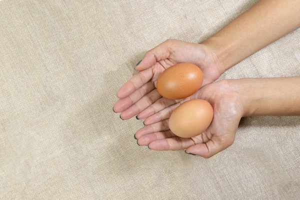 Top View Hand Young Asian Women Holding White Yellow Eggs — Stock Photo, Image