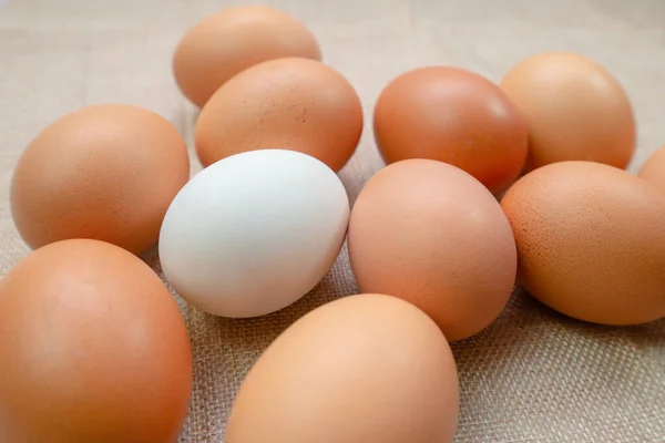 Uovo Bianco All Interno Molti Uovo Sfondo Sacco Uovo Pollo — Foto Stock