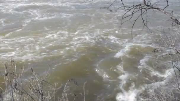 Corriendo el agua del río — Vídeo de stock