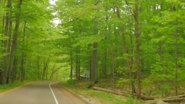 Driving through scenic drive — Stock Video