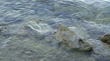 küçük dalgalar Rock kıyıya vurma