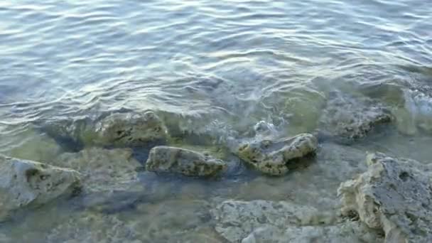 Małe fale uderzając rock, Brzeg — Wideo stockowe