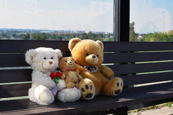 Passengers Concept Teddy Bears Family Bus Stop Funny Passengers Bench — Stock Photo, Image