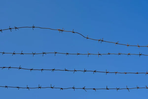Razor wire coils on a security fence. High security facility or restricted area. Prison, incarceration or detention concept - border wall.barbed wire and blue sky background. concept of imprisonment.