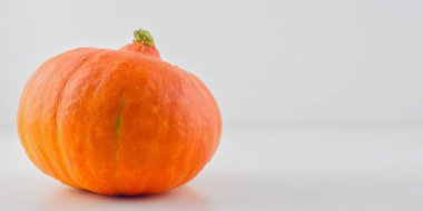 Beyaz arka planda bir balkabağı. Cadılar Bayramı sembolü. hafif arkaplanda balkabağı