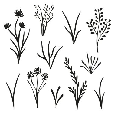 Bahçe ve vahşi bitkiler