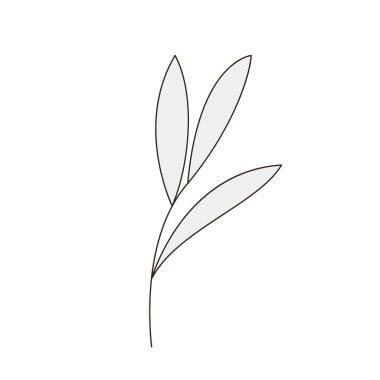 Bitki, vektör çizim Şubesi