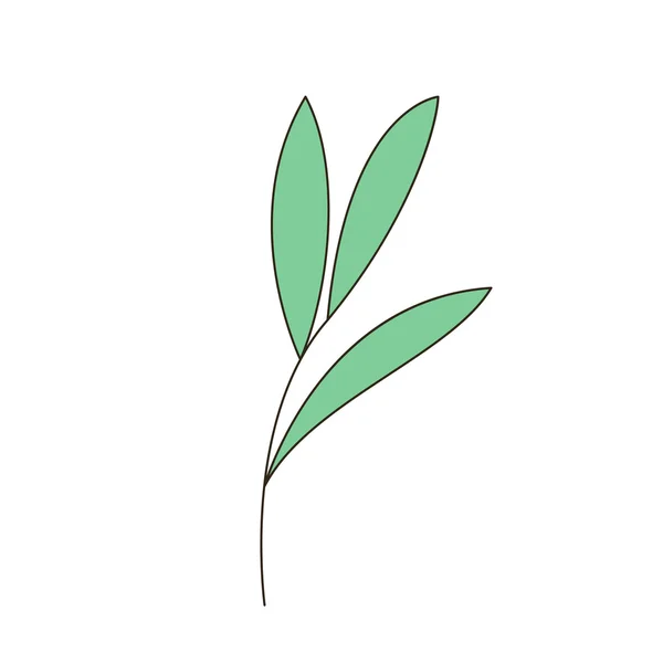 Branch of plant, vector illustration. — Stock Vector