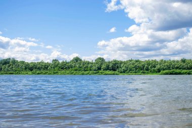 Nehir ön planda, uzakta yeşil ağaçlar ve çalılarla nehir kıyısını görebilirsiniz.
