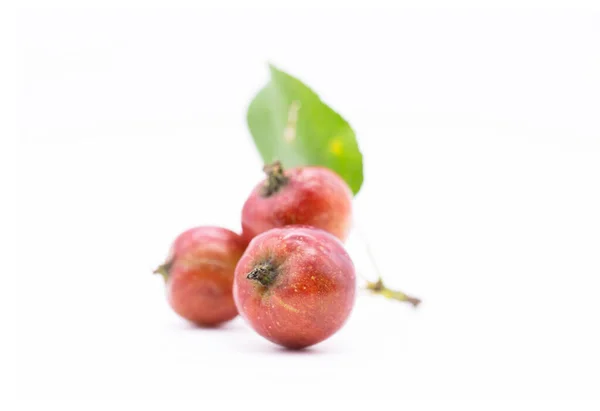 Small Apples Branch Isolated Apples Small Variety Size Cherries — Stock Photo, Image