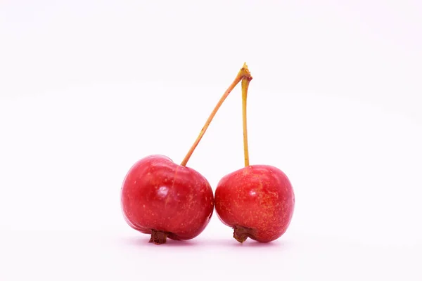 Las Manzanas Pequeñas Rama Manzanas Aisladas Son Una Pequeña Variedad —  Fotos de Stock