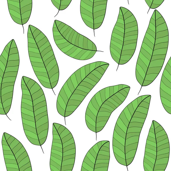 Tropikal Bir Ağacın Geniş Yeşil Yapraklarının Kusursuz Arkaplanı Vektör — Stok Vektör