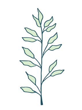 Bitki çizimi, modern tasarım. Baskı, kapak ve duvar kâğıdı için soyut Bitki Sanatı tasarımı. Vektör illüstrasyonu