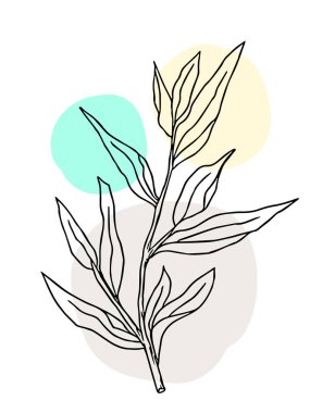 Bitki çizimi, modern tasarım. Baskı, kapak ve duvar kâğıdı için soyut Bitki Sanatı tasarımı. Vektör illüstrasyonu