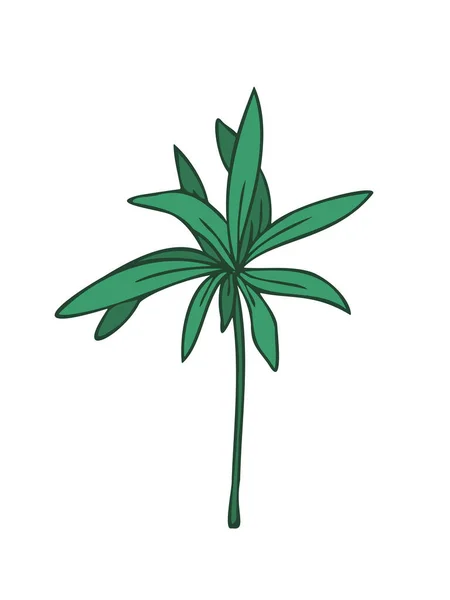 Pflanzenzeichnung, modernes Design. Abstraktes Plant Art Design für Druck, Einband, Tapete. Vektorillustration — Stockvektor