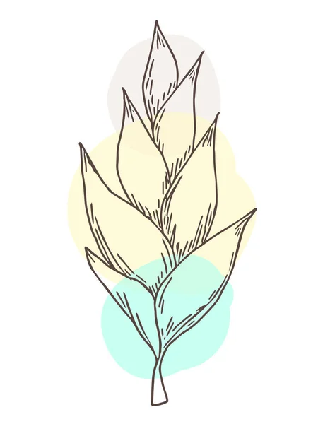 Desenho de plantas, design moderno. Abstract Plant Art design para impressão, capa, papel de parede. Ilustração vetorial —  Vetores de Stock