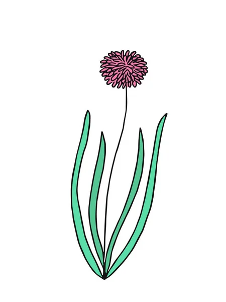 Planta de dibujo, diseño moderno. Diseño abstracto de Plant Art para impresión, portada, papel pintado. Ilustración vectorial — Vector de stock