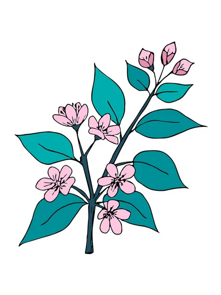 Ein Ast mit Blättern und Blüten, ein Apfel- oder Kirschbaum. Kunstdesign für Druck, Einband, Tapete. — Stockvektor