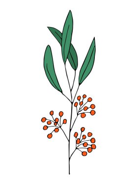 A branch of a plant with leaves and berries. Plant drawing. Abstract Plant Art design for print, cover, wallpaper. Vector illustration