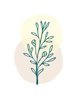 Yapraklı bir dal. Bitki çizimi. Baskı, kapak ve duvar kâğıdı için soyut Bitki Sanatı tasarımı. Vektör illüstrasyonu