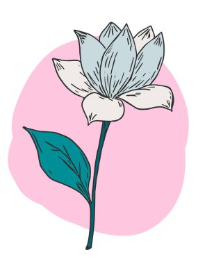 Drawing of a flower.. Plant drawing. Abstract Plant Art design for print, cover, wallpaper. Vector illustration