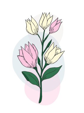 Drawing of a flower.. Plant drawing. Abstract Plant Art design for print, cover, wallpaper. Vector illustration