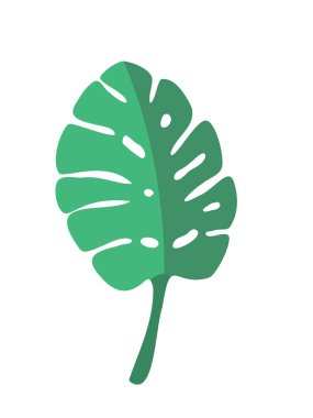 Hiç bitmeyen yeşil bir tropik liana canavarı yaprağı. Vektör resmi, simge