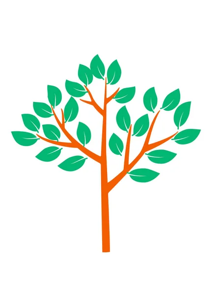 Árbol Con Tronco Ramas Con Hojas Verdes Clip Art Vector — Archivo Imágenes Vectoriales