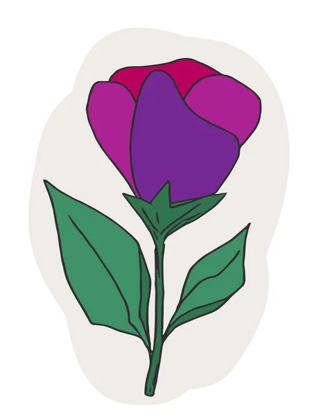 Рисунок Дикого Цветка Рисунок Растений Абстрактный Дизайн Печати Обложки Обоев — стоковый вектор
