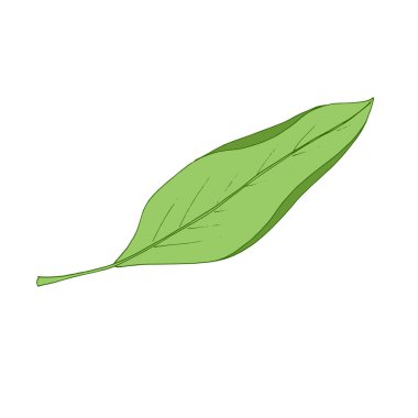 Autumn leaf fly in the wind. Tree leaf. Vector illustration
