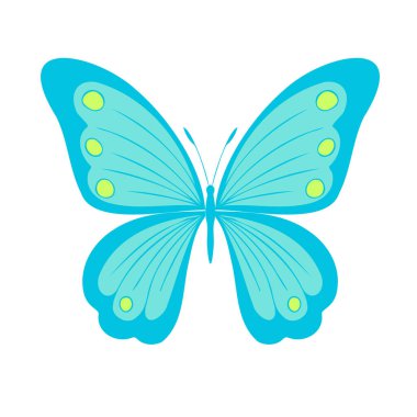 Elegant little colored butterfly , vector illustration, icon. Butterfly with open wings, top view