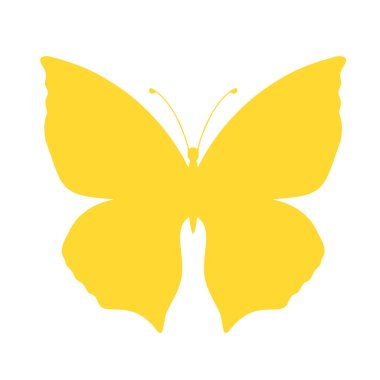 Colored butterfly silhouette. Template for printing , vector illustration, icon. Butterfly with open wings, top view