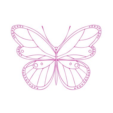 Butterfly contour vector drawing. Insect butterfly coloring book. EPS 10 Template