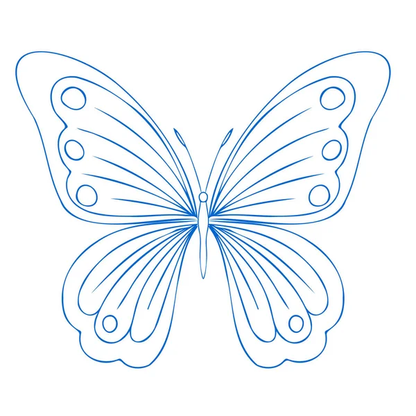 Butterfly Contour Vector Drawing Insect Butterfly Coloring Book Eps Template — Stock Vector